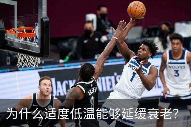 为什么适度低温能够延缓衰老？