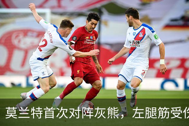 莫兰特首次对阵灰熊，左腿筋受伤提前离场
